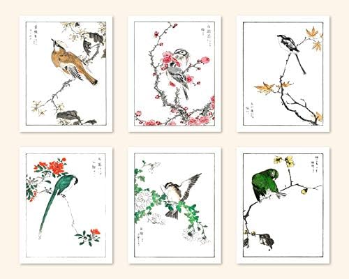 Ink Inc. ' den Japon Botanik Baskıları. / Japon Minimalist Tarzı / Çiçekler ve Kuşlar / 6 8x10 Çerçevesiz Set
