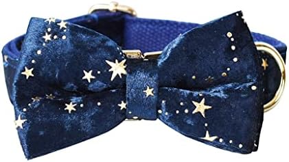 ZLXDP Derin Mavi Kadife köpek tasması ve tasma seti Noel için Altın Glitter Yıldız Özel KİMLİK Pet Yaka papyon Festivali
