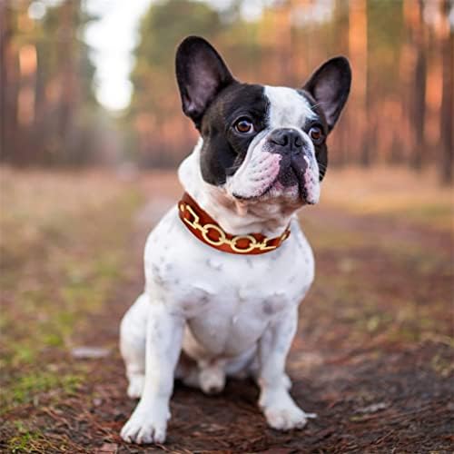 DHTDVD Deri Dayanıklı Gerçek Deri köpek tasmaları Bling Taklidi Serin Metal Aksesuarları Küçük Orta Köpekler için