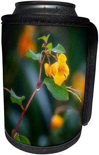 3dRose Küçük Sarı Çiçek Makro Fotoğrafı-Şişe Sargısını Soğutabilir (cc_357273_1)