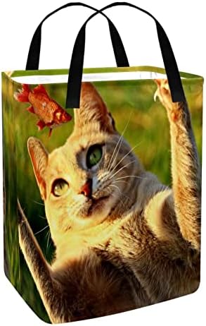 DJROW Sepet Kedi Yakalamak Balık Uzun katlanır çamaşır kutusu Kolları ile Katlanabilir Giysi ve Oyuncak saklama sepetleri